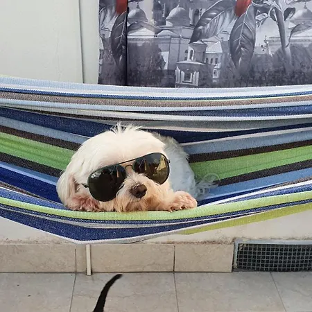 Gargano Helios Hotel Rodi Garganico