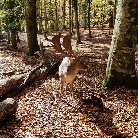 Hotel Gargano Helios 3*