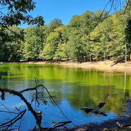 Hotel Gargano Helios 3*